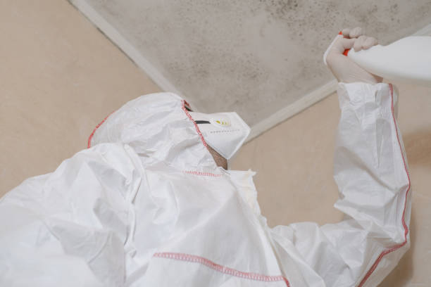 Best Mold Damage Repair  in Pisgah, AL